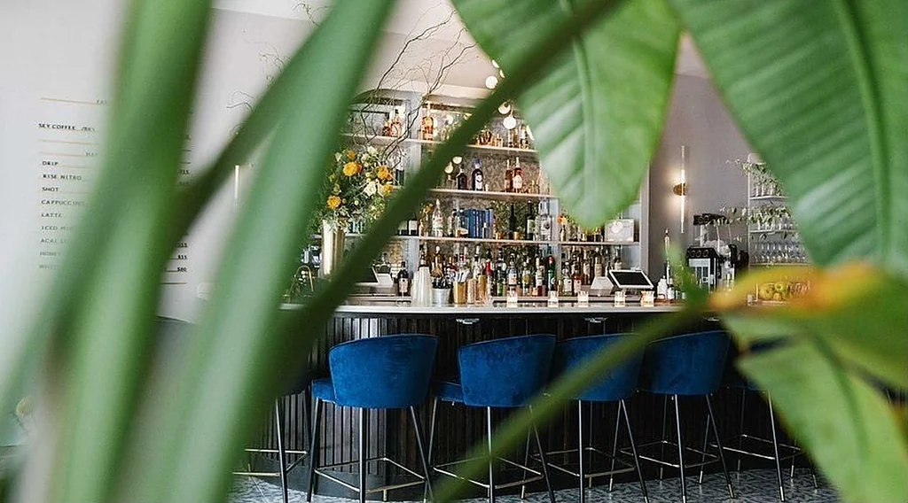 A café back bar seen through the leaves of a plant, bottles stepped along the shelf and stools drawn up to the counter.